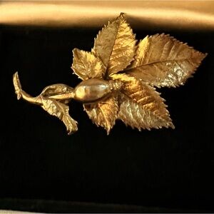 Hora Danica Brooches